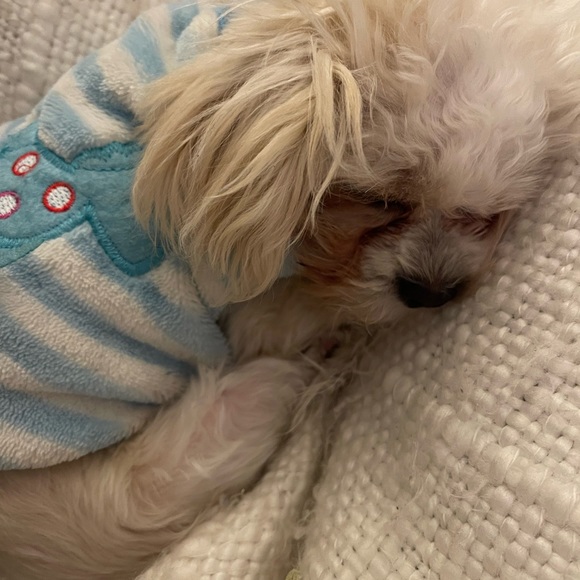 Meet your Posher, Carissa - Picture 2 of 2